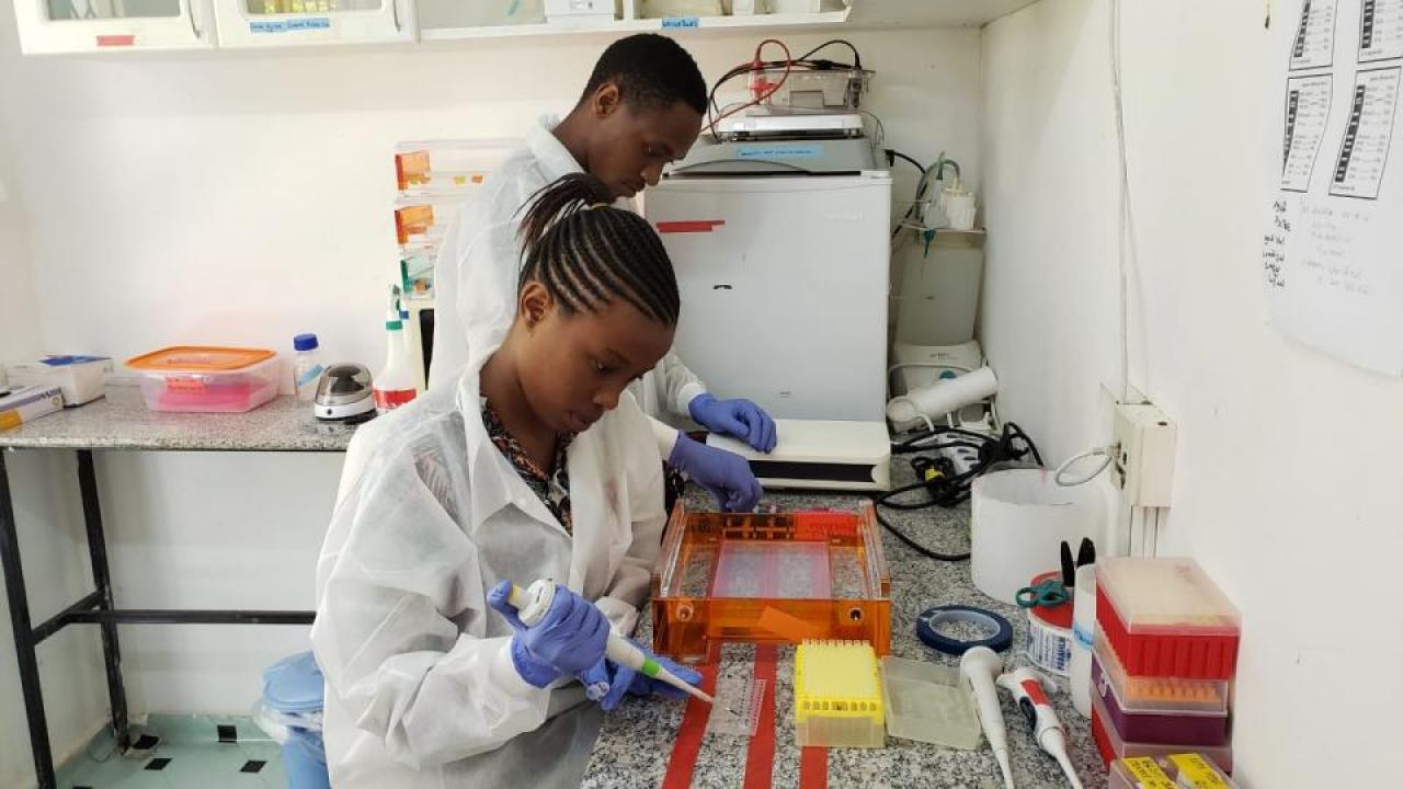 USAID PREDICT interns conduct lab work at Sokoine University of Agriculture in Tanzania. 
