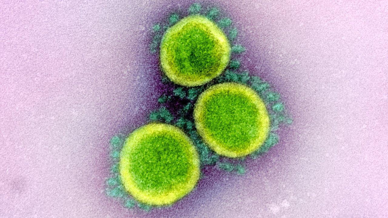 coronavirus image