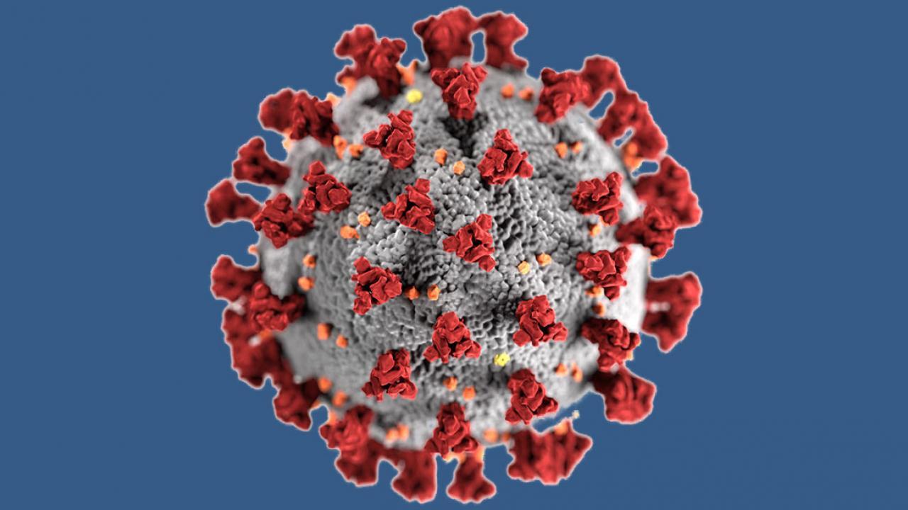 coronavirus illustration