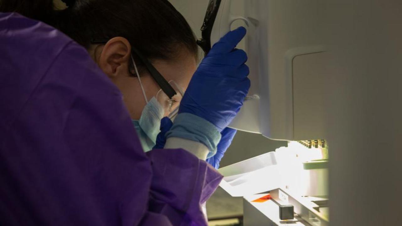 researcher looking at pipettes