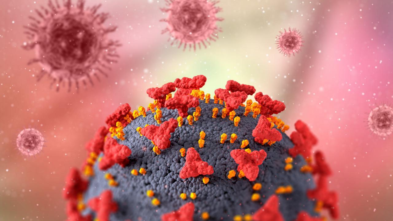 illustration of coronavirus