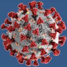 Rendition of novel coronavirus on blue background